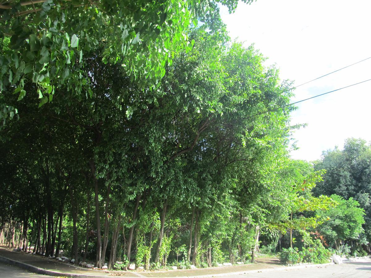 Backpackers And Travellers Hostel เนย์บา ภายนอก รูปภาพ